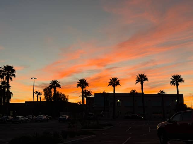 Goodyear Palm Silhouette Sunset - Image 1