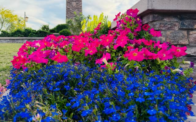 Ocotillo Downtown Gardens - Image 1