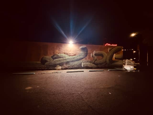 Avondale Saguaro Mural - Image 1
