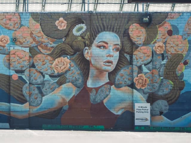Cactus Girl Mural - Image 1