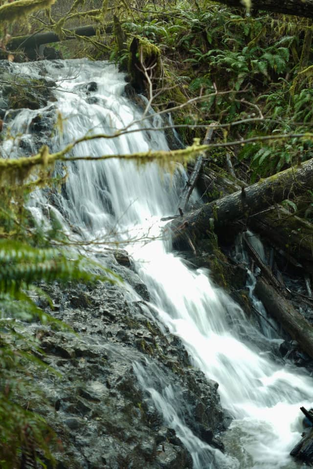 Capitol State Forest Cascade - Image 1