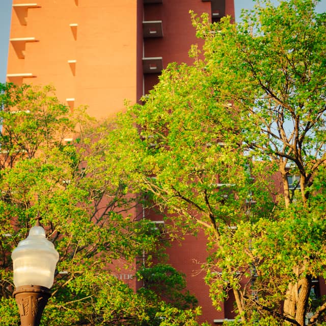 Walker Center, University of Oklahoma - Image 1