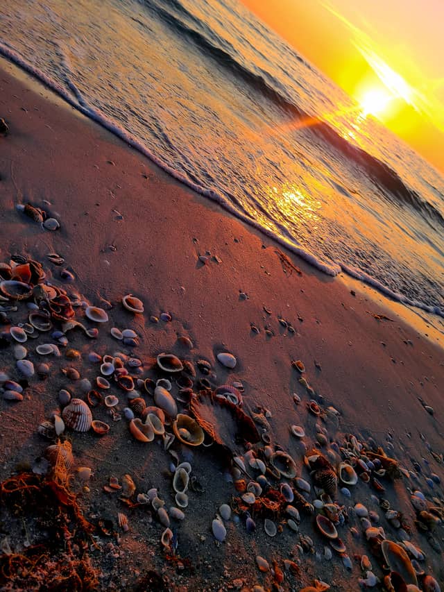 Pine Island Park Beach - Image 1