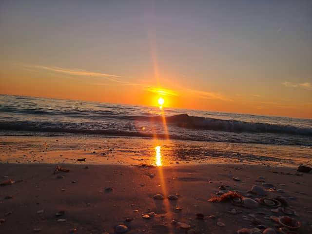 Seashell Beach Sunset - Image 1