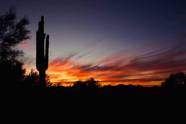 Phoenix Sonoran Preserve - Image 1