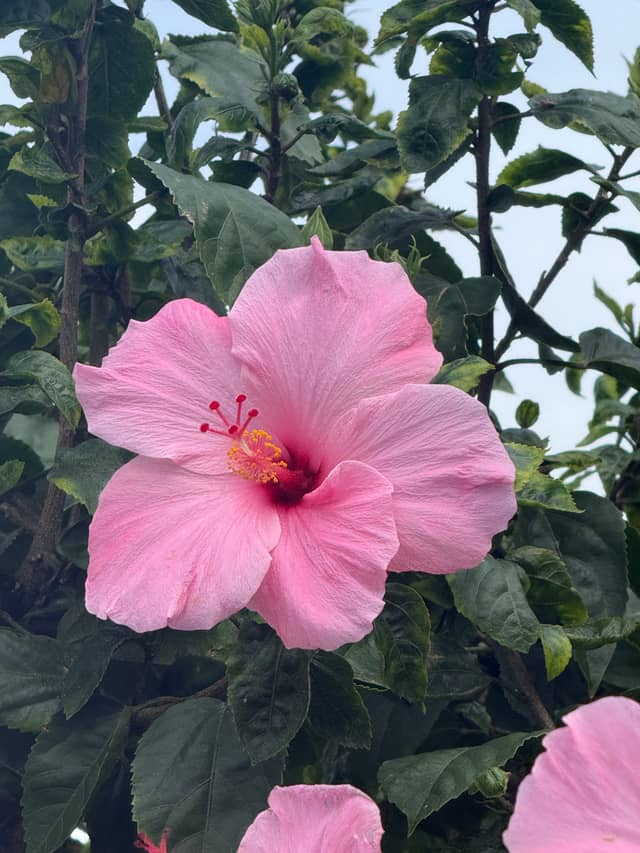 Stuart Tropical Garden - Image 1