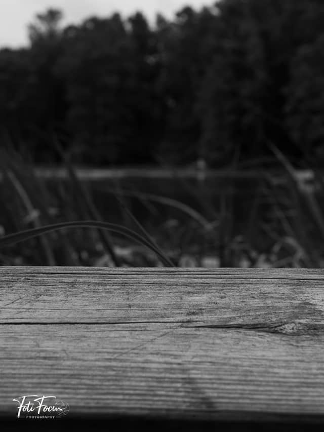 Greenfield Lake Park - Image 1