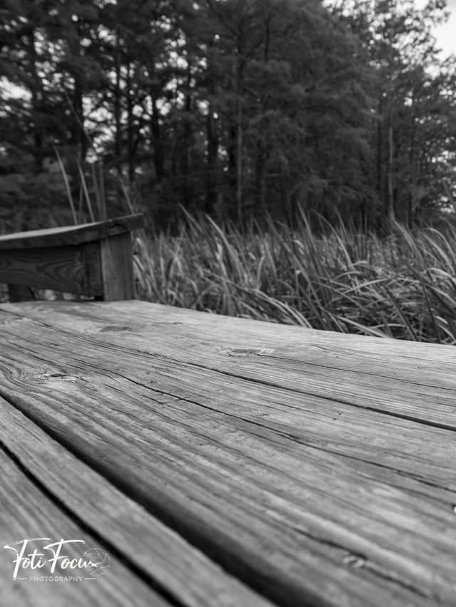 Greenfield Lake Boardwalk - Image 1