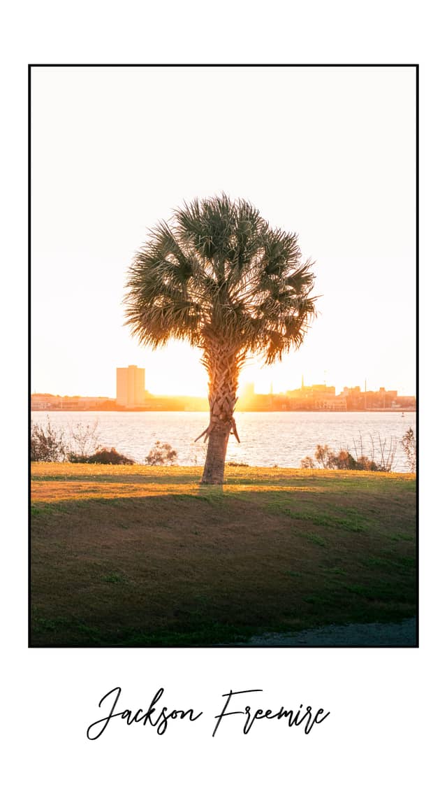 Mount Pleasant Memorial Waterfront Park - Image 1