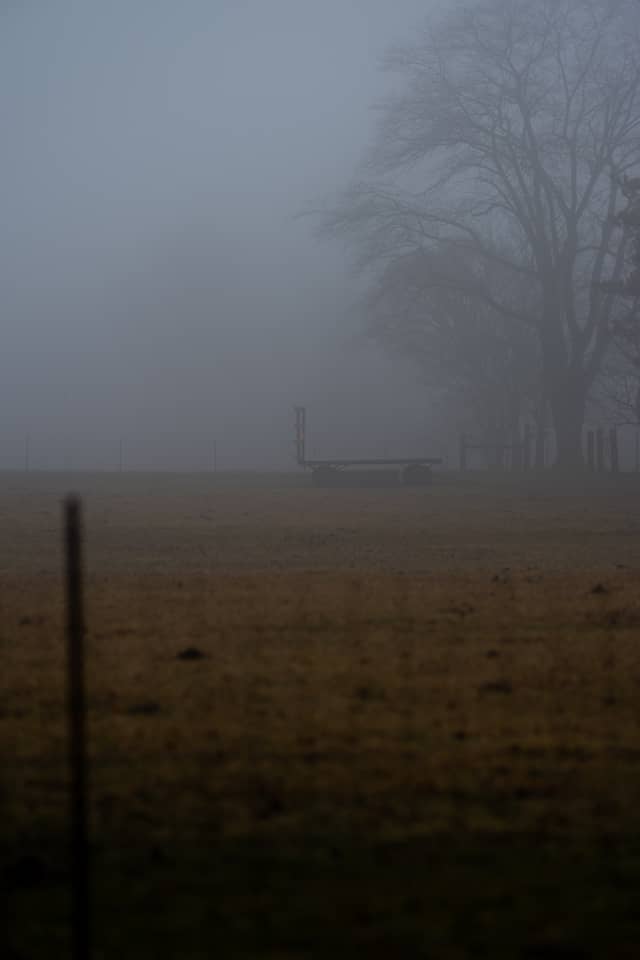 Misty Carroll Farmland - Image 1