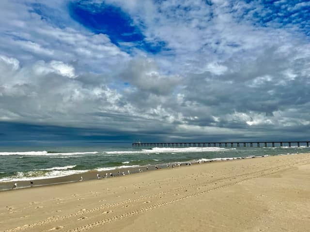 Duck Research Pier - Image 1