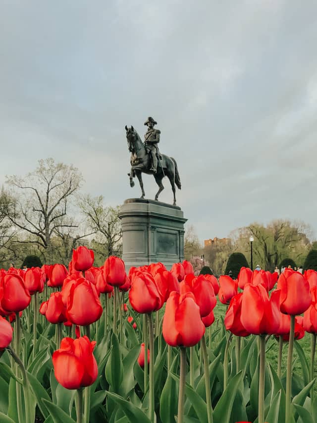 George Washington Statue, Boston Public Garden - Image 1