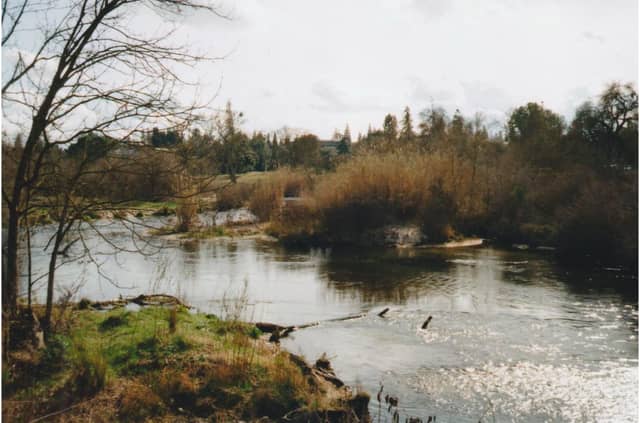 San Joaquin Riverbank - Image 1
