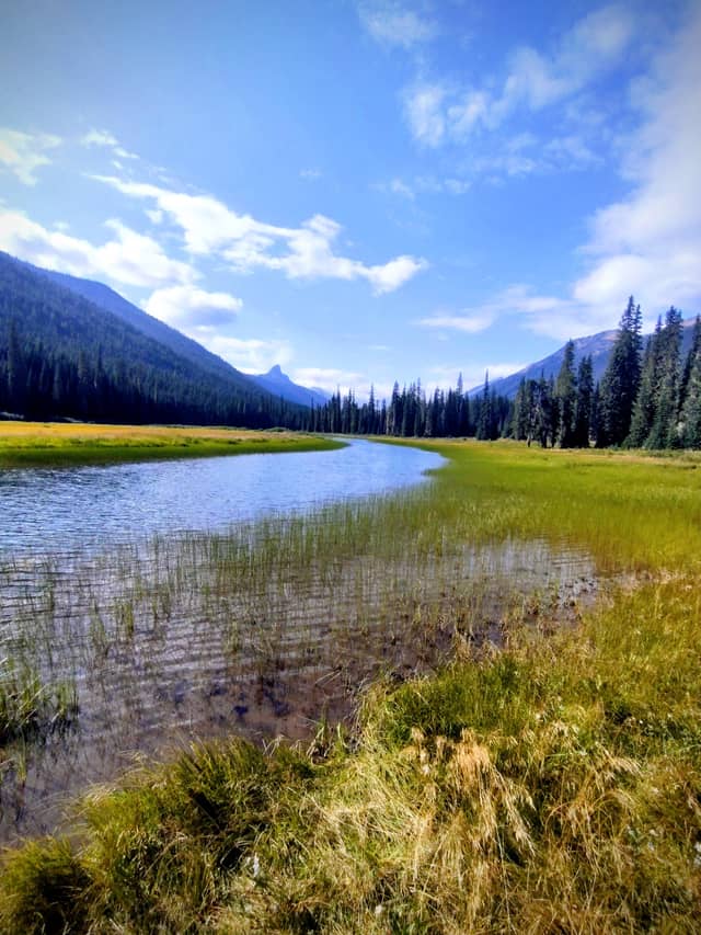 Wenatchee River Meadow - Image 1