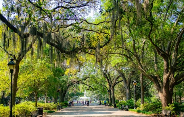 Forsyth Park - Image 1