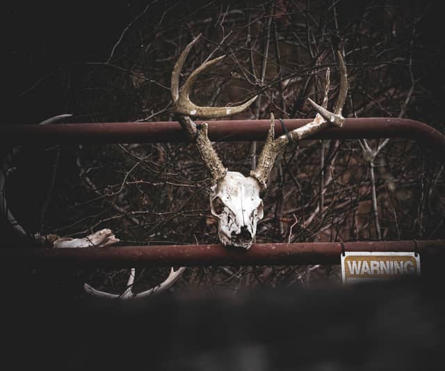 Gibsonville Farmstead Gate - Image 1