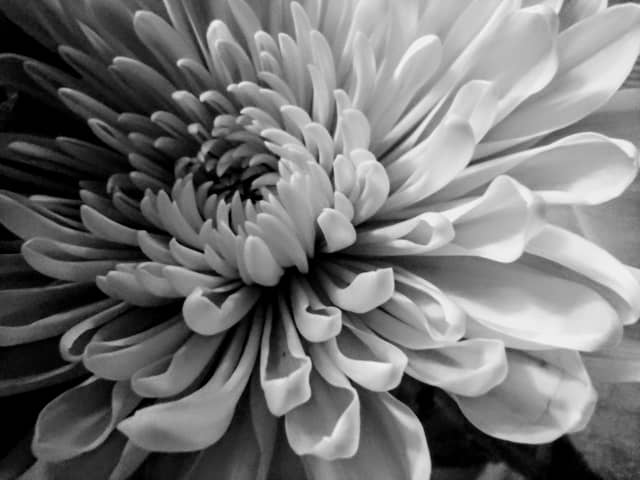 Landmark Alley Gardens - Image 1