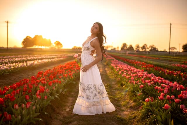 Texas Tulips - Image 1