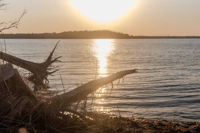 Cattus Island County Park - Image 1