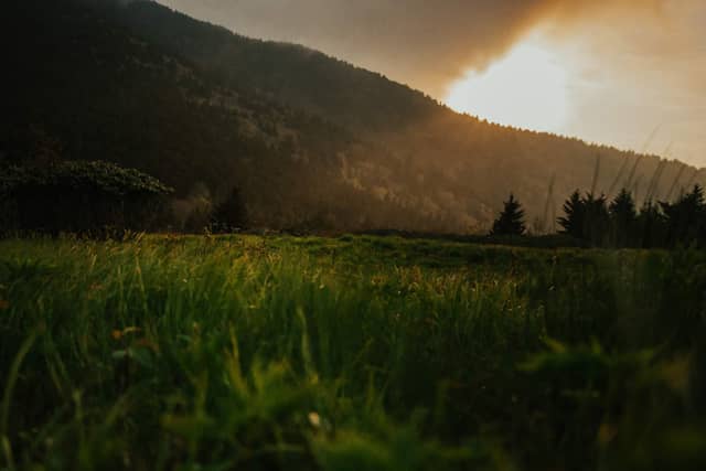 Carver's Gap, Roan Mountain - Image 1