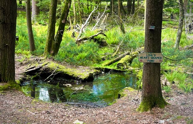 Lisa's Heart-Shaped Pond - Image 1