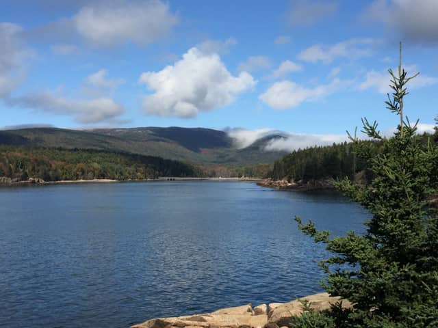 Otter Cove, Acadia National Park - Image 1