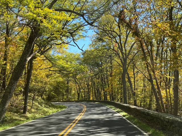 Skyline Drive Scenic Curve - Image 1