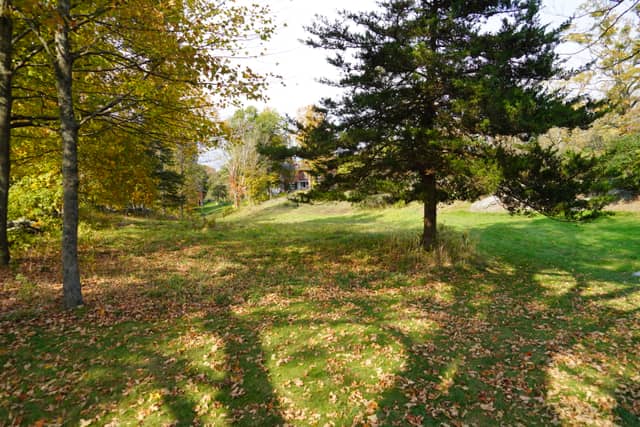 Wilton Autumn Woodland Garden - Image 1