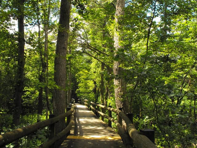 Boerner Botanical Gardens - Image 1