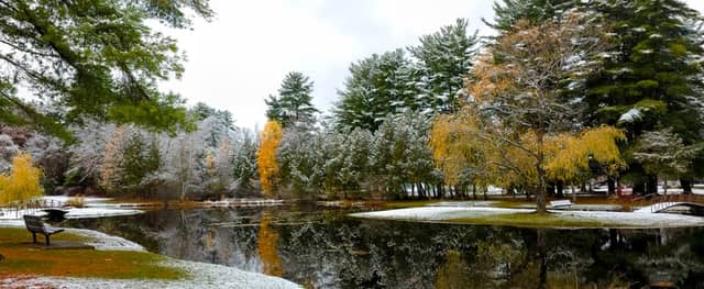 Crandall Park Pond - Image 1