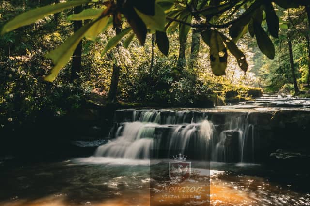 Tolliver Falls - Image 1