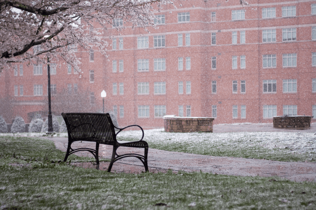 ETSU Campus Quad - Image 1