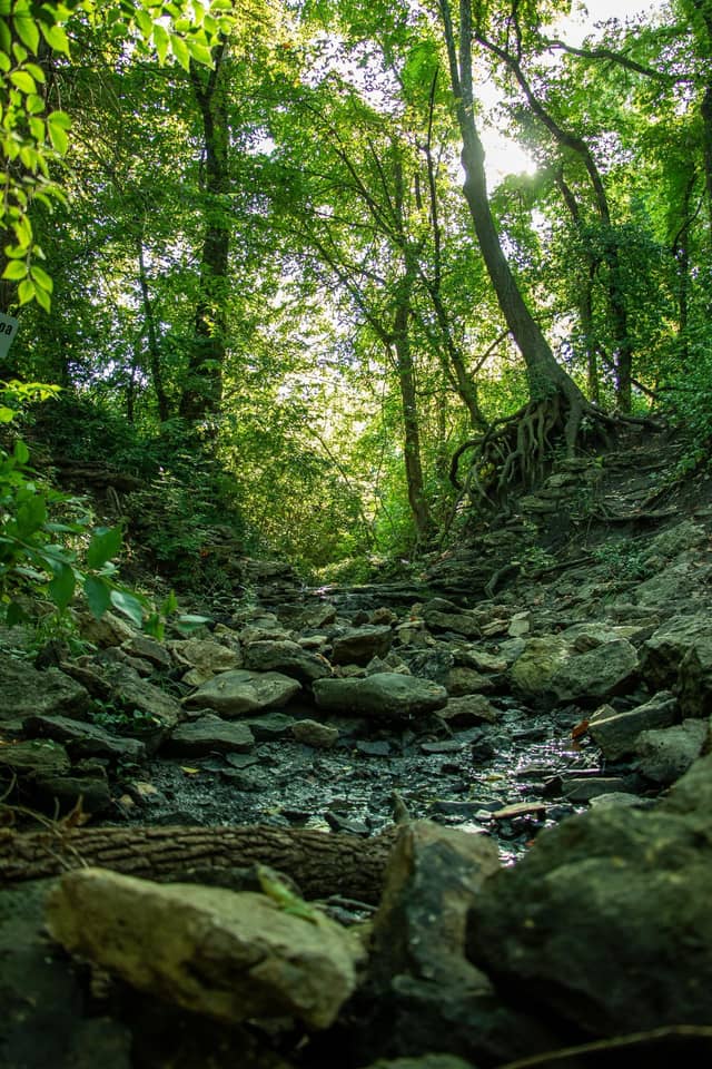 Cave Spring Park - Image 1