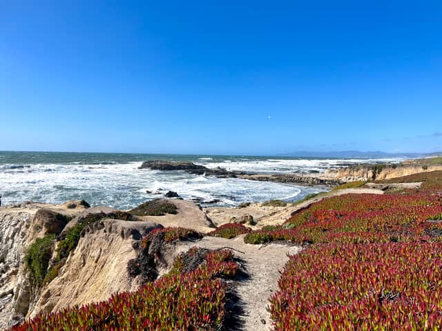 Pigeon Point Coastal Cliffs - Image 1