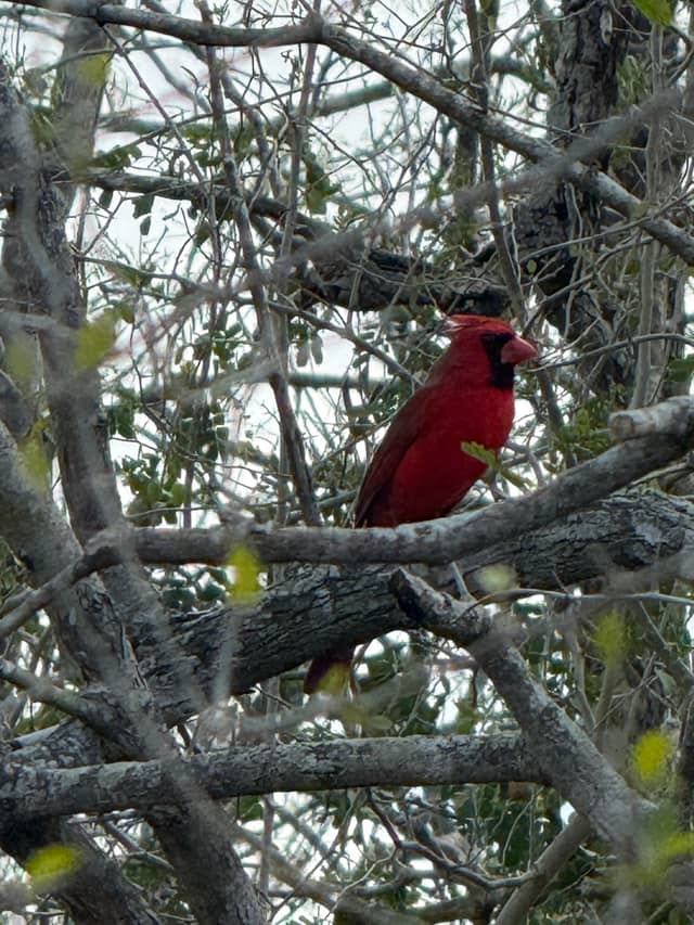 Hugh Ramsey Nature Park - Image 1