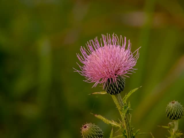 Circle B Bar Reserve - Image 1