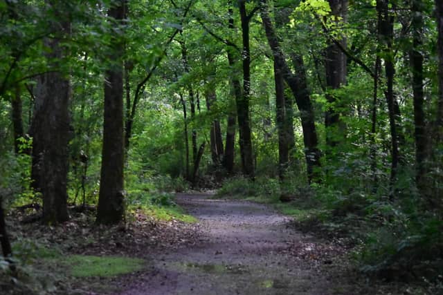 Blackwater Conservation Area - Image 1