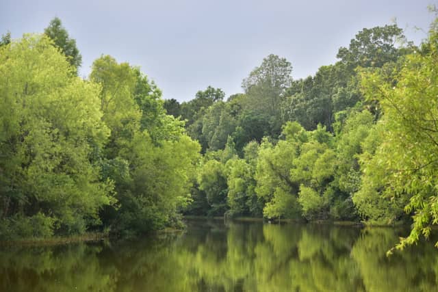 Blackwater Conservation Area - Image 1