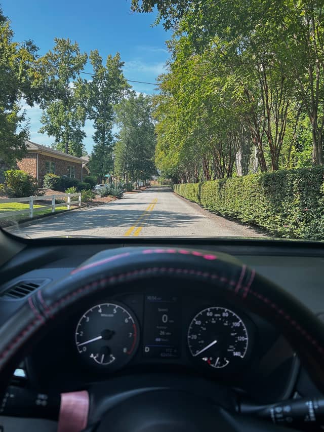 Still Hopes Drive Tree-Lined Road - Image 1