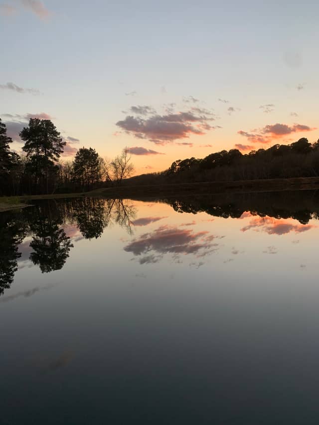 Palestine Lake Reflection - Image 1