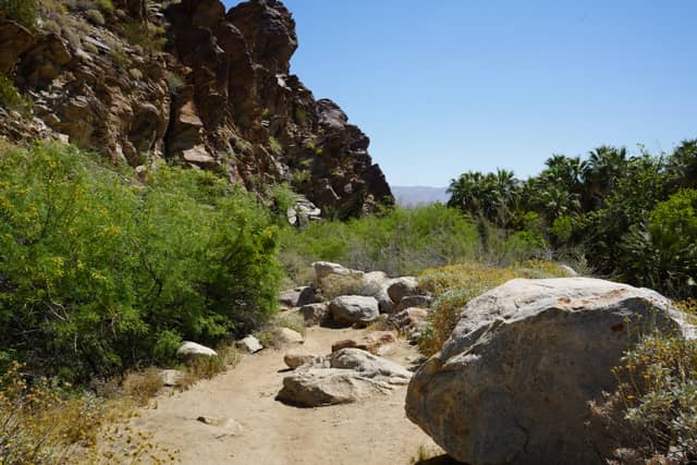 Tahquitz Canyon Trail - Image 1