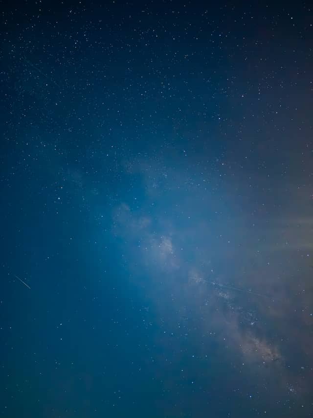 Tosohatchee Wildlife Management Area - Image 1