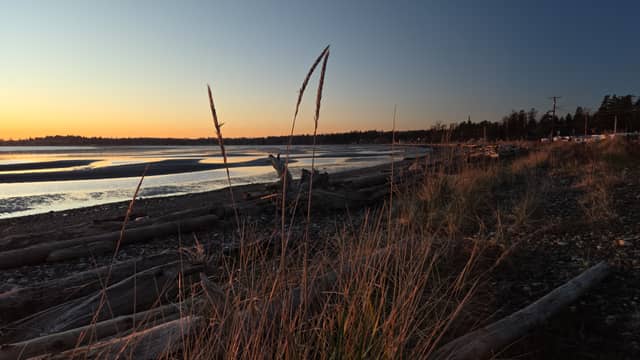 Birch Bay Shoreline - Image 1