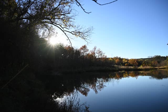Canyon Springs Pond - Image 1