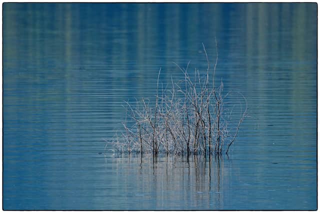 Lake Casitas - Image 1