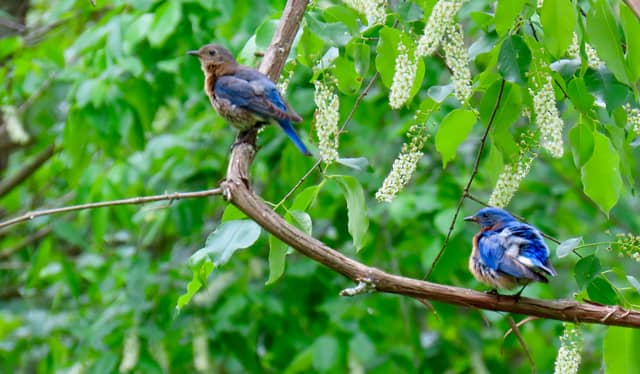 Tolland Nature Trail - Image 1