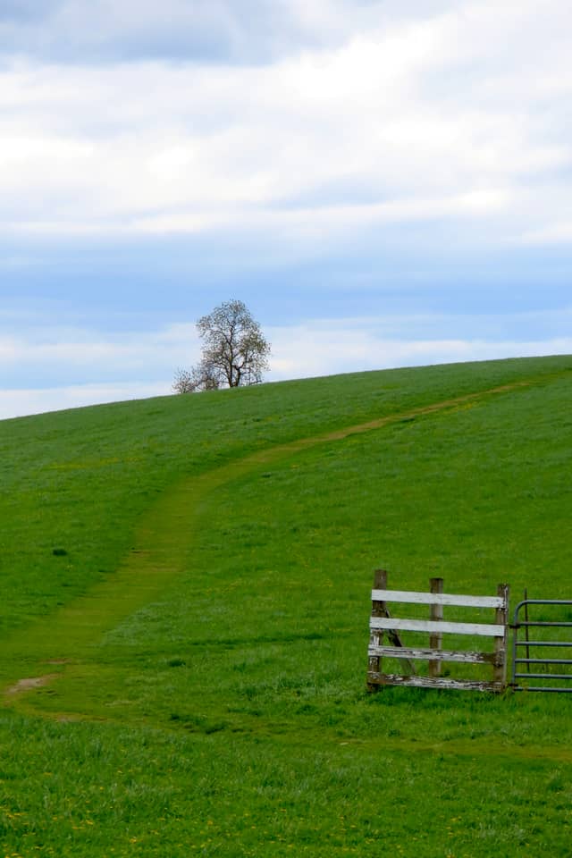 Horsebarn Hill - Image 1