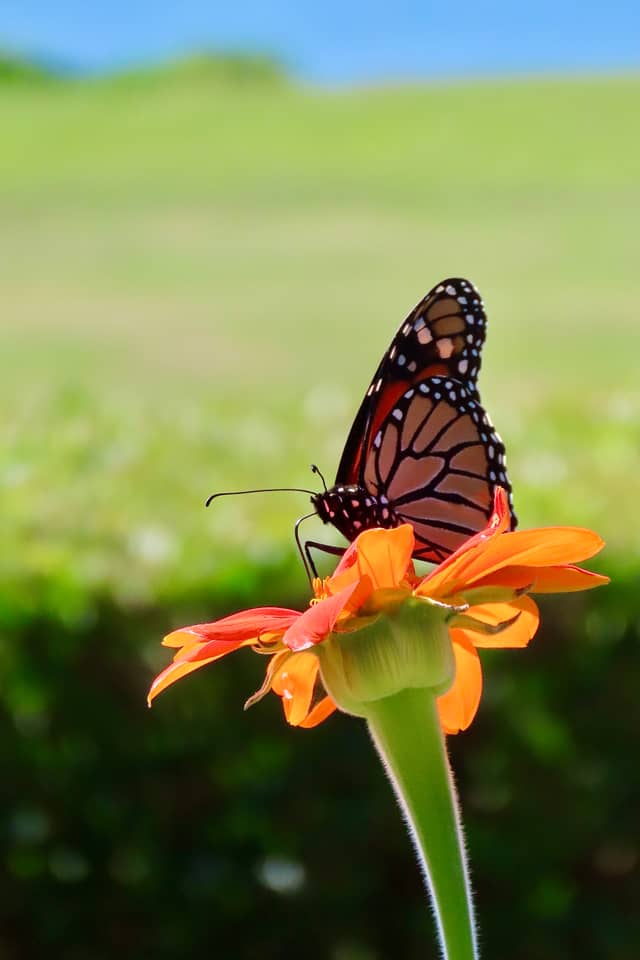 Harkness Memorial State Park - Image 1