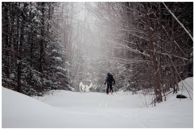 Jackson Ski Touring Trails - Image 1