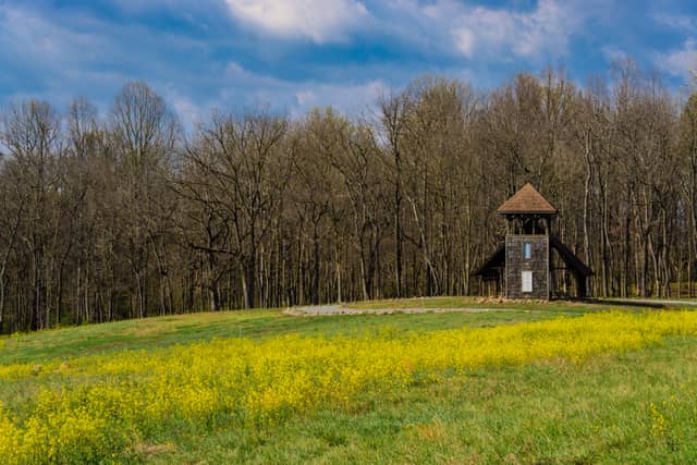 Cool Spring Battlefield - Image 1